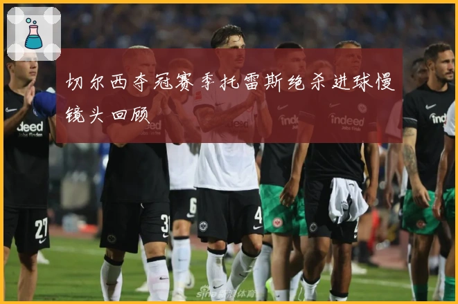 切尔西夺冠赛季托雷斯绝杀进球慢镜头回顾